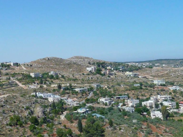 Bedford has strong links with the village of Al Walaja in Palestine, commemorated by a tree planted on the Embankment. Image: Bedford Friends of Al Walaja/Facebook