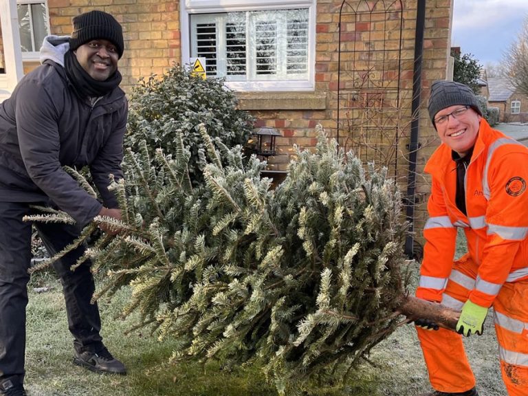 Two men are pictured carrying a Christmas tree