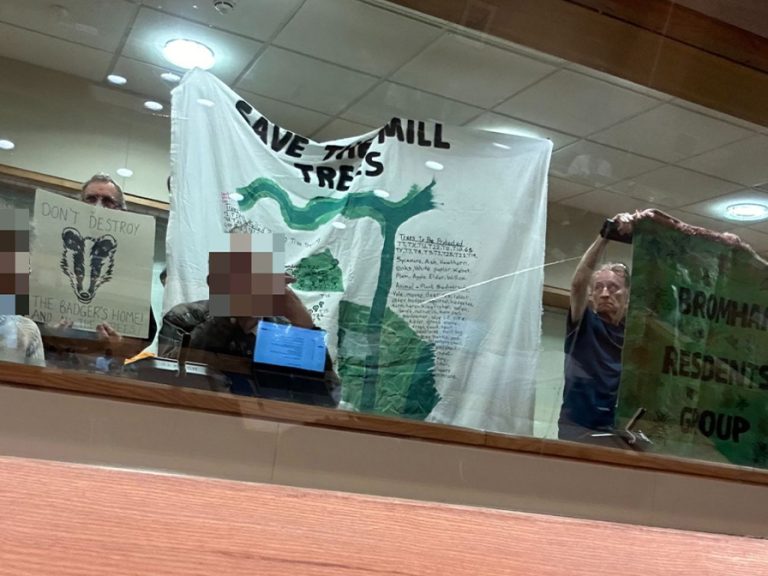 Bromham Mill Protest at Bedford Borough Council full council meeting on 10 July. Image: LDRS