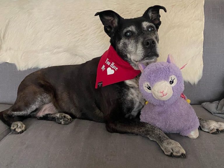 Heidi with cuddly toy