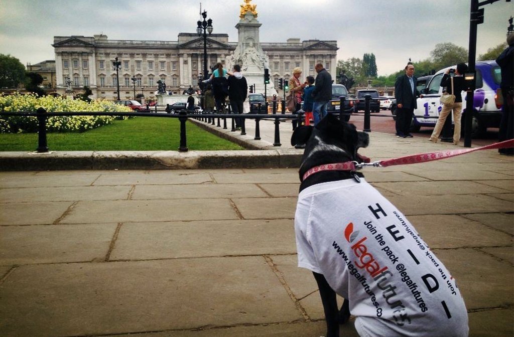 Heidi outside Buckingham Palace during a London Legal Walk for charity