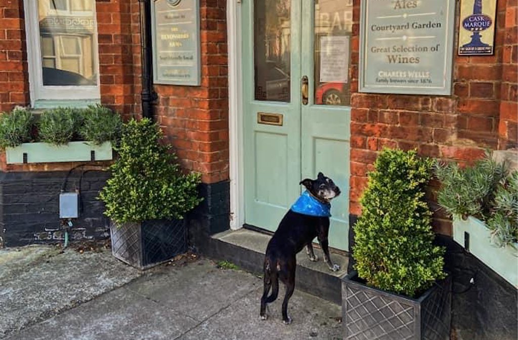 Heidi outside the Devonshire Arms confused that it was closed during a COVID-19 pandemic lockdown