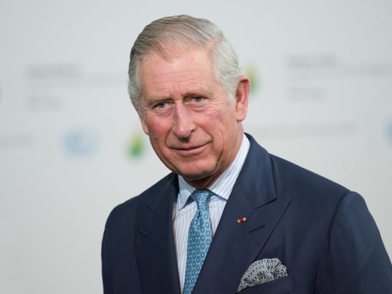 King Charles III. Image: Frederic Legrand - COMEO/Shutterstock