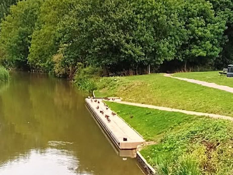 The landing stage at Kempston Mill. Image: Cllr Valentine