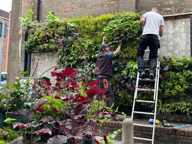 A living wall is installed on a derelict area on St Cuthbert's Street