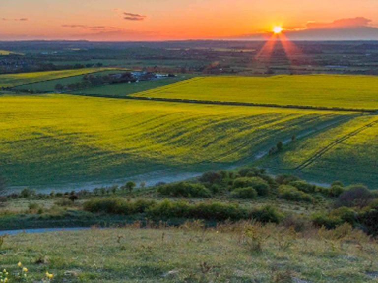 OxCam arc environment countryside