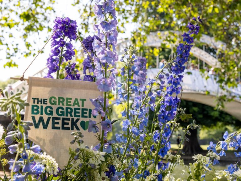 The Great Big Green Week Bedford 2024. Image: Vicky Couchman Climate Coalition
