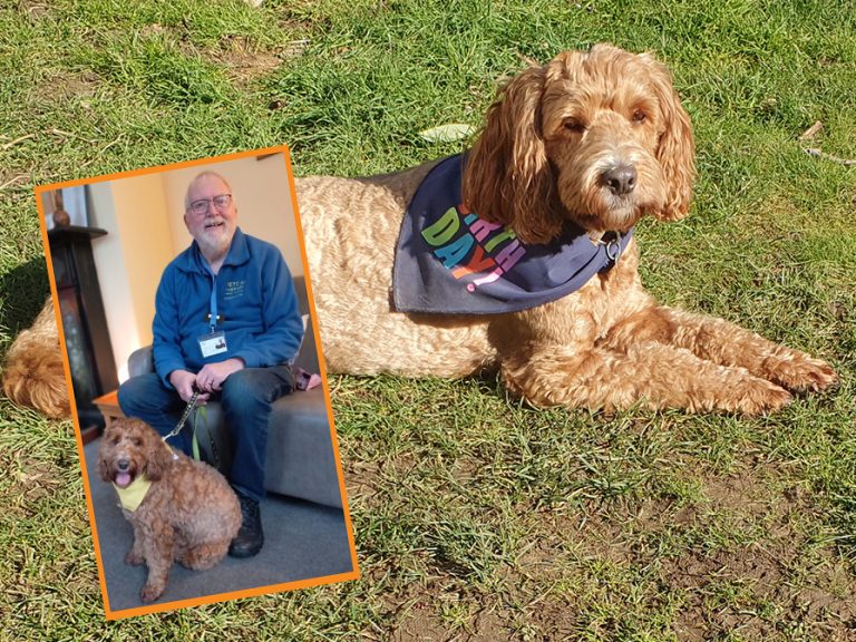 Therapy Dog Jack and (inset) with his human Richard Marlton. Image: The Marlton family