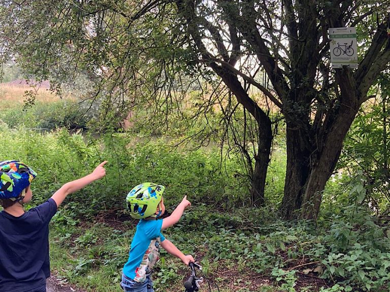Wheelie Good Trail