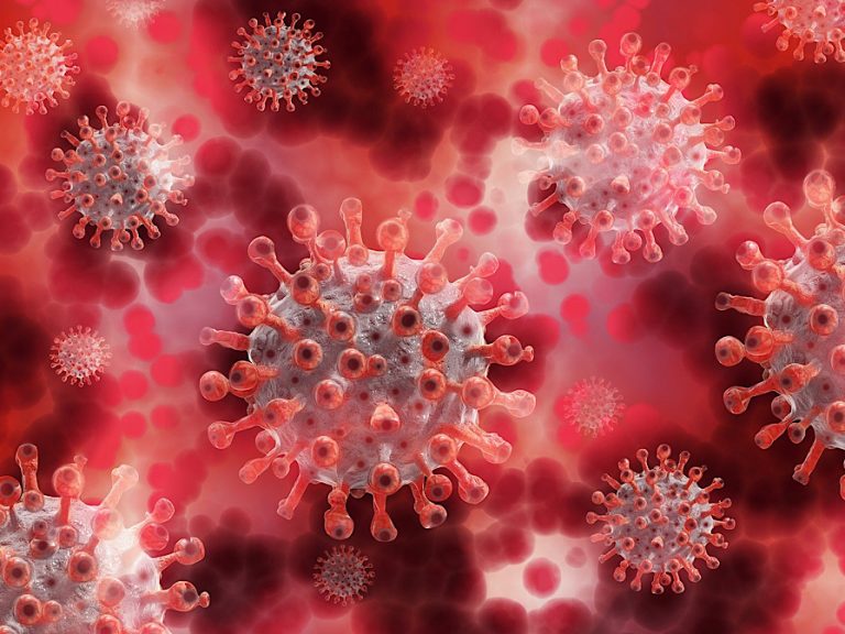 coronavirus