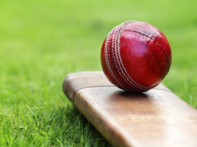 stock image of cricket bat and ball