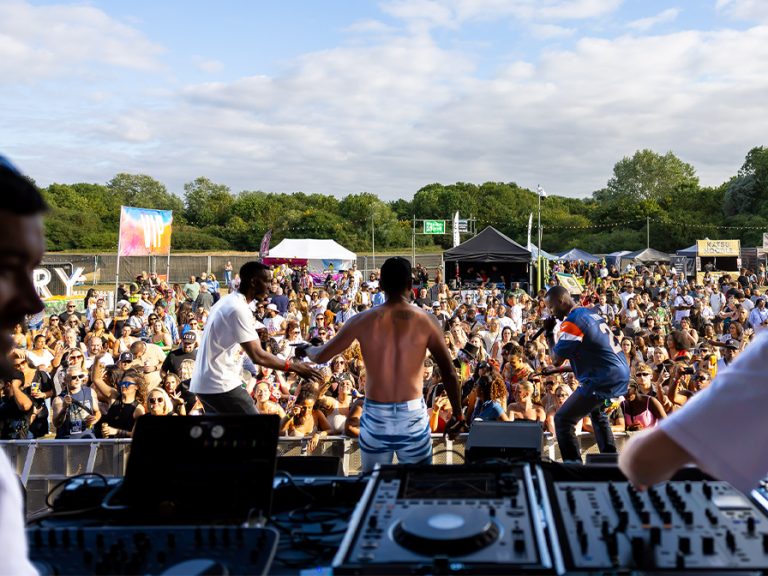 Crowd from the stage at Bedford Original Culture Festival, Priory Country Park, 16 August 2025. Image: Donna Samuels Photography