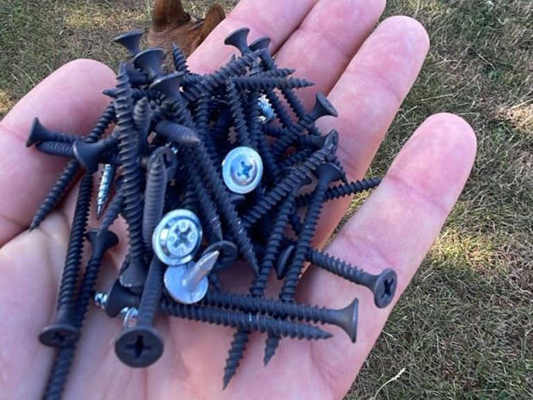 Some of the discarded screws, collected by a Clapham resident. Image: Clapham resident