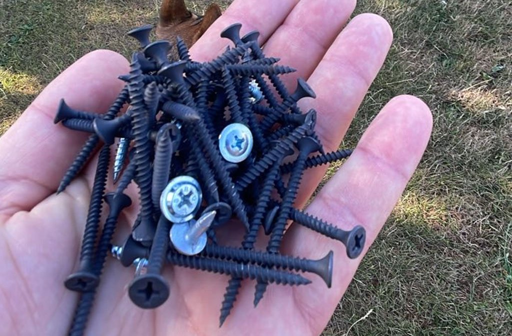 Some of the discarded screws, collected by a Clapham resident. Image: Clapham resident