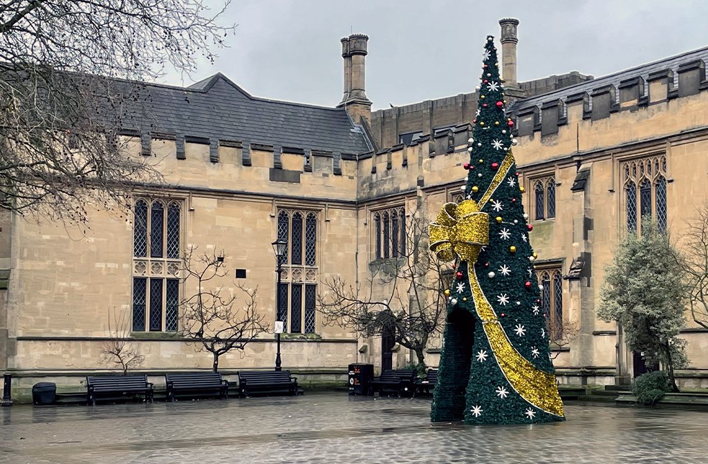 Harpur Square Christmas Tree 2026. Image: Bedford Independent