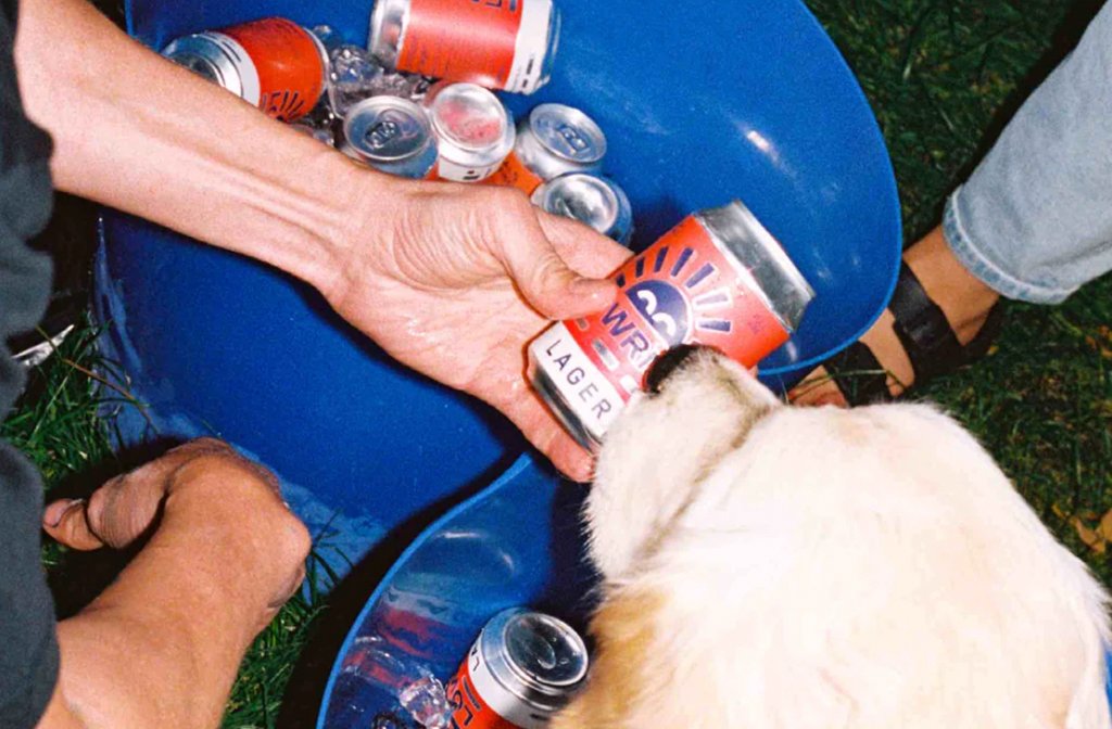 Lowrise beers in a chilled trug being sniffed by a big golden retriever dog
