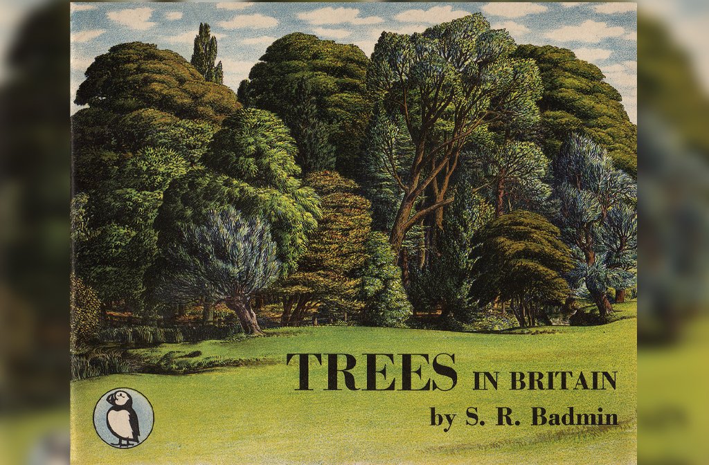 Puffin Picture Books Trees in Britain