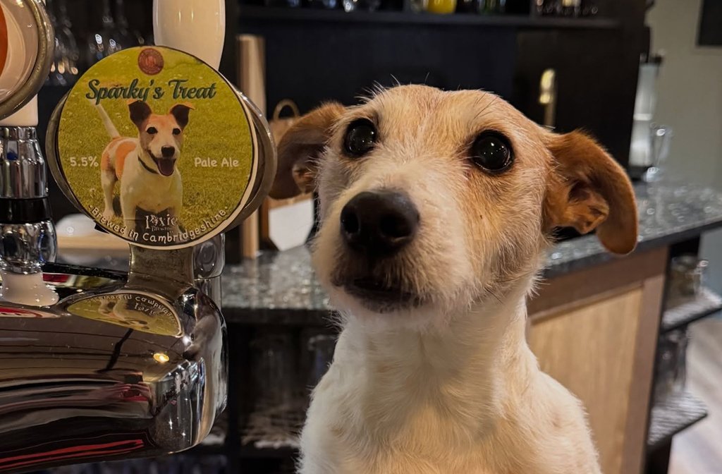 Sparky, the pub dog at The Hidden Barrel is pictured next to a beer pump which is serving Sparky's Treat, brewed specially by a local brewery