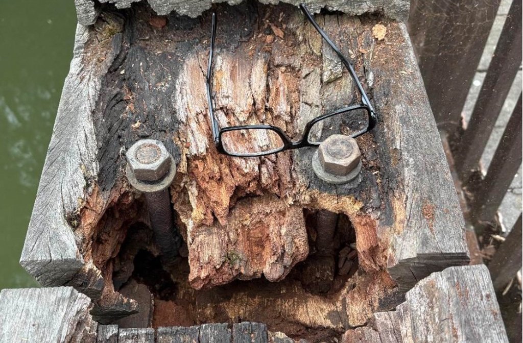 An image of the rot on Queens Bridge in the technical Note for the footbridge's closure taken on 2 September 2025. Image: Bedford Borough Council via LDRS