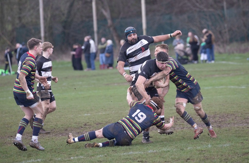 A Bedford Athletic rugby player runs into a tackle at Northampton Old Scouts