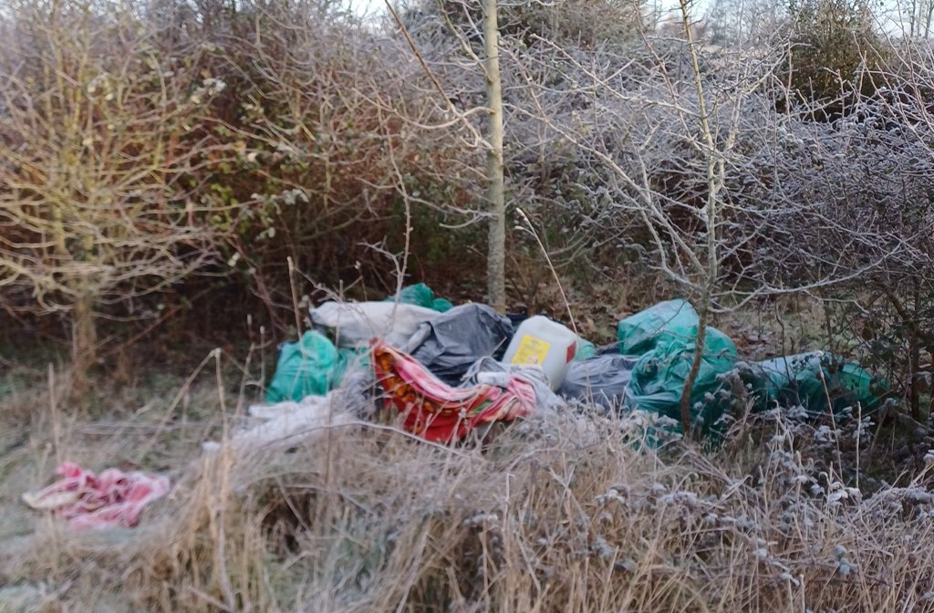 Fly tipped items in a hedgerow