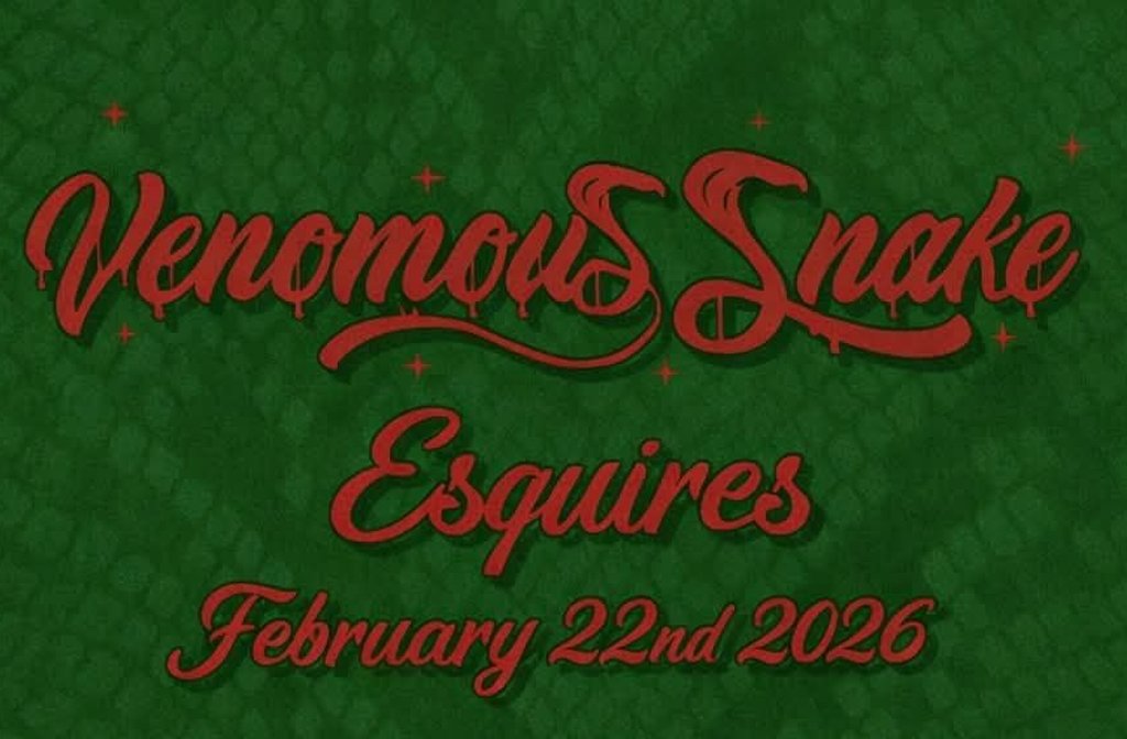 Poster for the Venemous Snake gig at Esquires