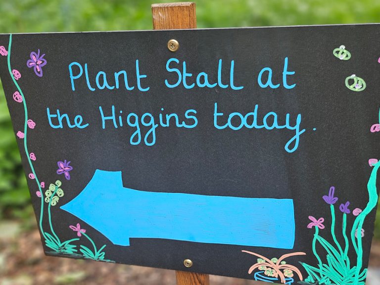 Plant stall at the Higgins as part of The Great Big Green Week. Image The Higgins Bedford