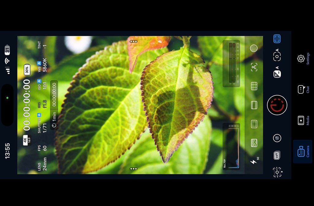 Smartphone nature photohgraphy.