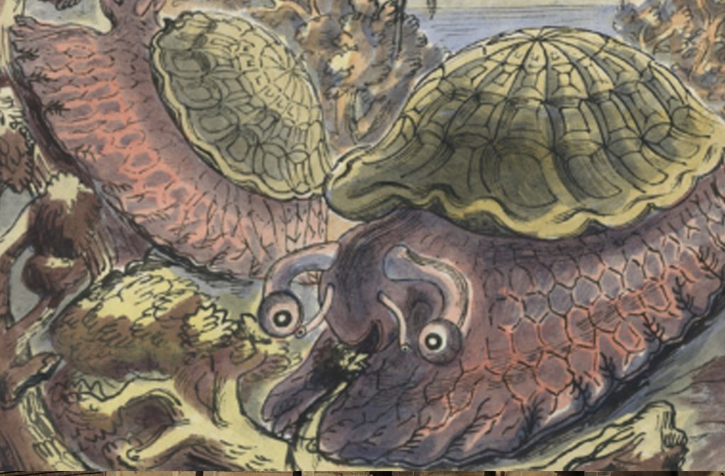 'Giant Tortoise Snail' from 'Snails for All', 1945 by Edward Bawden.