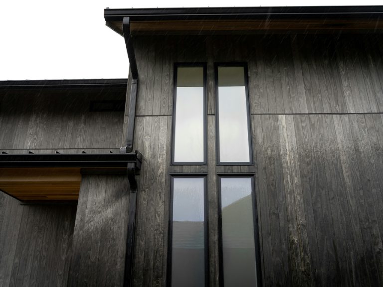 Charred timber cladding on a residential property the cladding is black and looks stylish Image James Sestric Unsplash