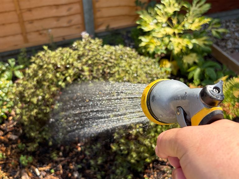 A hose on shower setting watering a garden