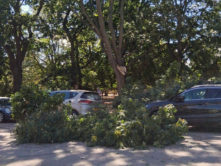 Tree branch fallen on a car on Shaftesbury Avenue, Russell Park, Bedford Image