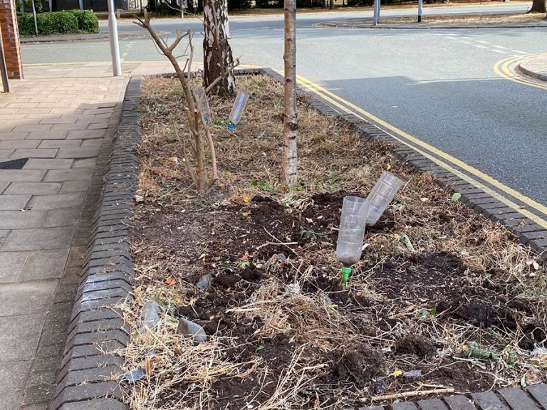 A planter on Stanley Street that had "hollyhocks cut down and removed before they could self seed". Image: Teresa Walshe.