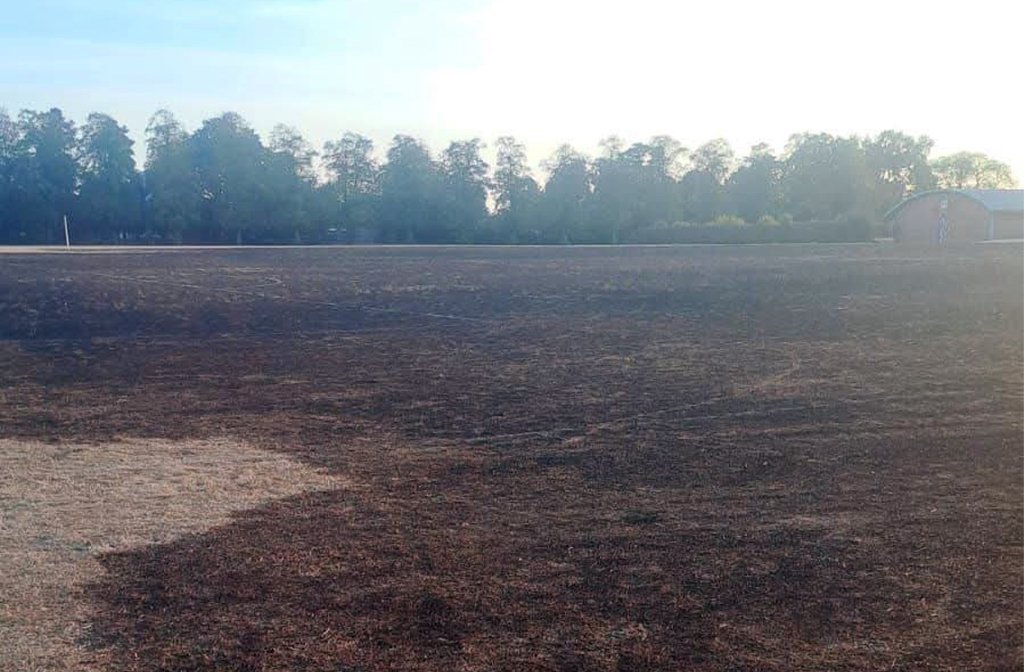 Grass damaged by fire in Jubilee Park 9 August 2026 Image Nancy Childs-Gatty We Are Bedford