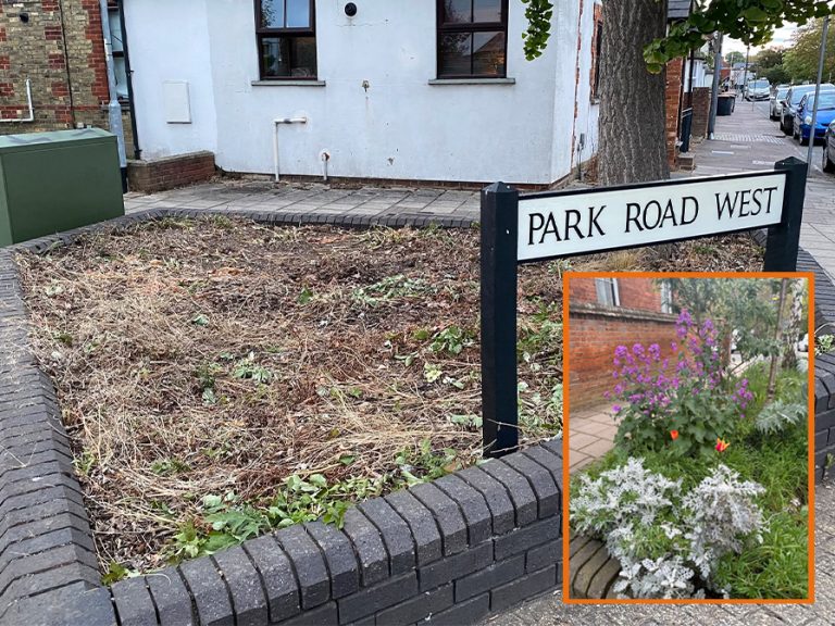 Planter strimmed to the mud on Park Road West, Bedford Inset how one of the planters used to look before being cut down