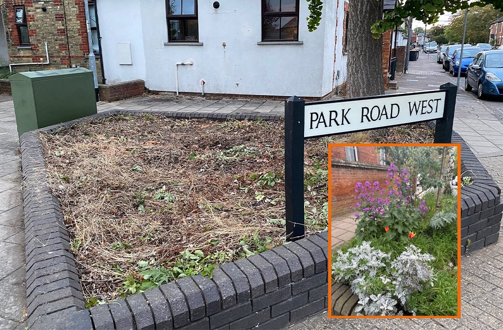 Planter strimmed to the mud on Park Road West, Bedford Inset how one of the planters used to look before being cut down