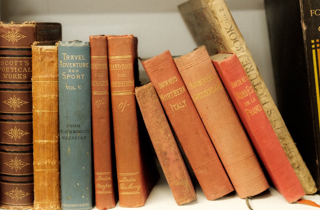 Travel books at The Eagle Bookshop on St Peter's Street in Bedford. Image Cameron Scrimgeour